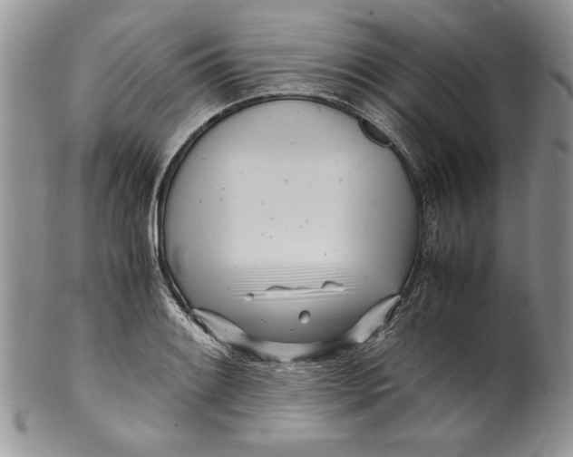 X0000099931084200806131357