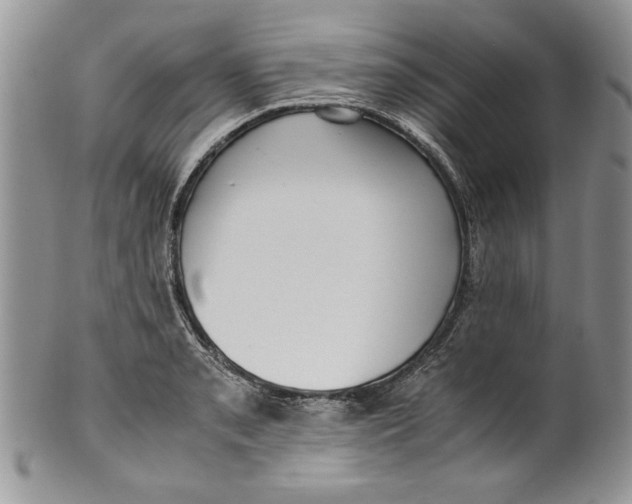 X0000099931085200806131357