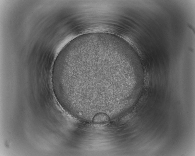 X0000099931086200806131357