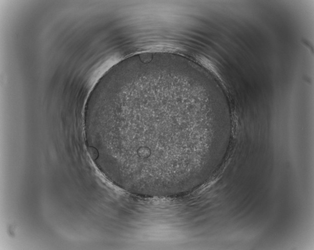 X0000099931087200806131357