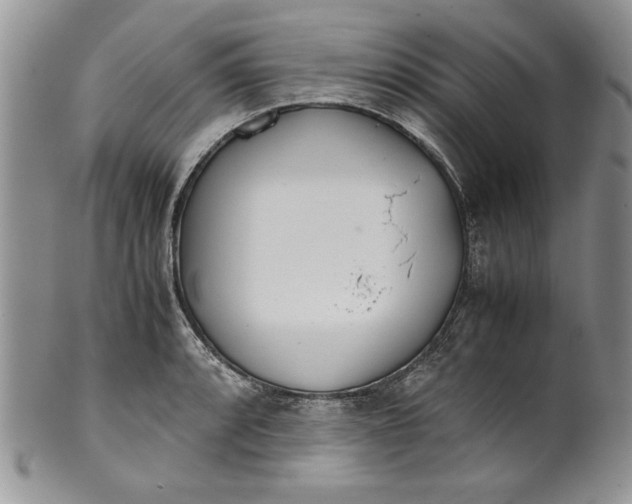 X0000099931088200806131357