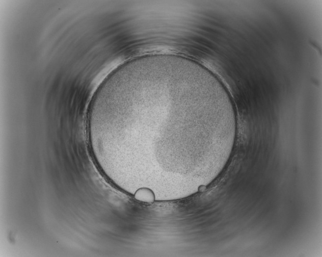 X0000099931090200806131357