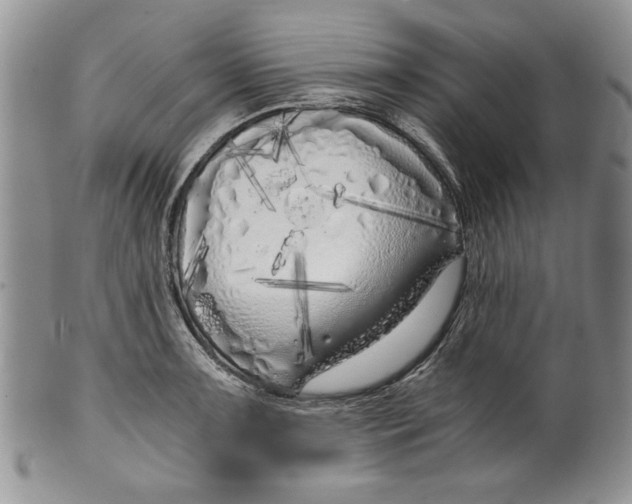 X0000099931091200806131357