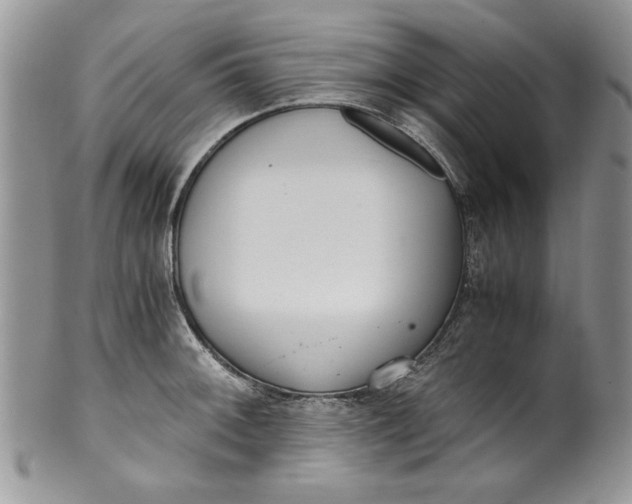 X0000099931092200806131357