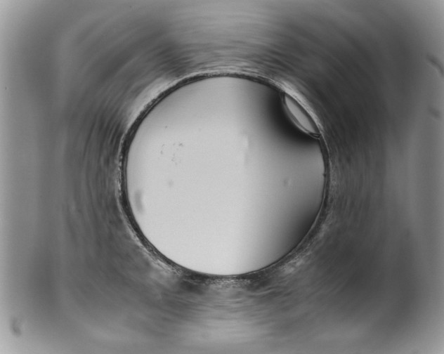 X0000099931093200806131357