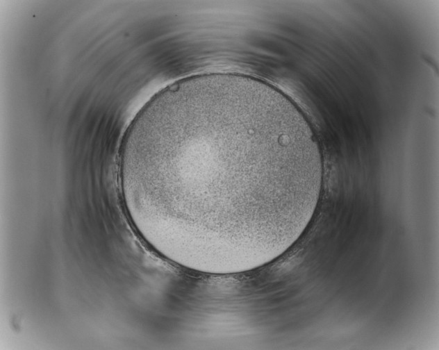 X0000099931094200806131357