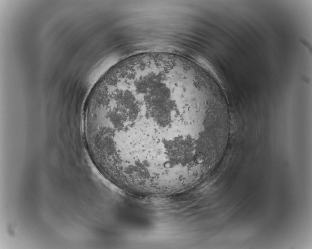 X0000099931095200806131357