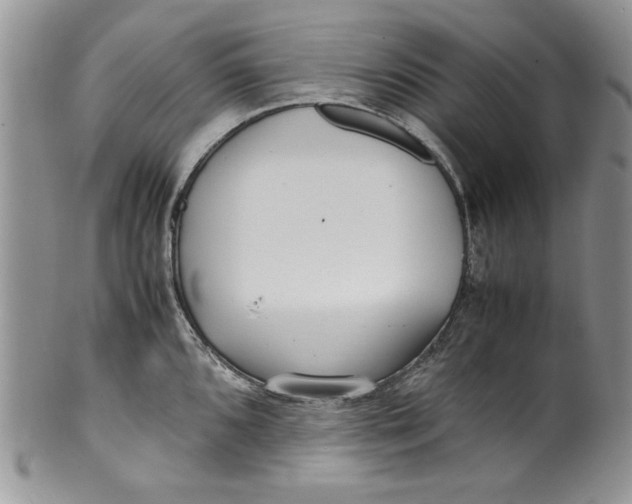 X0000099931096200806131357