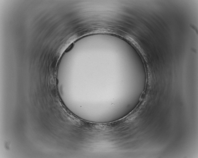 X0000099931097200806131357