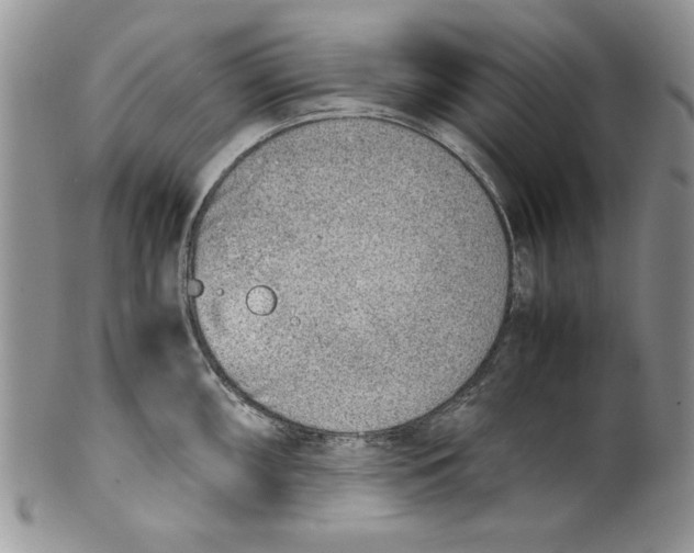 X0000099931098200806131357