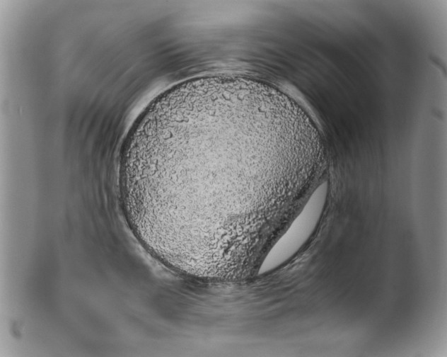 X0000099931099200806131357