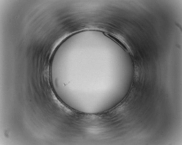 X0000099931100200806131357