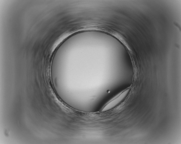 X0000099931101200806131357