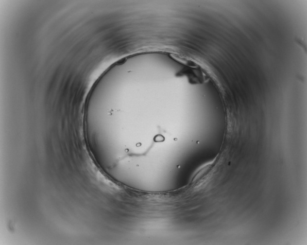 X0000099931102200806131356