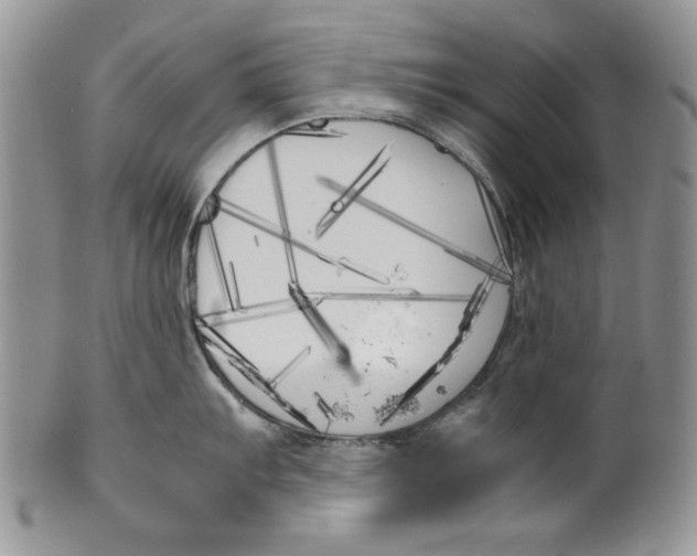 X0000099931103200806131356