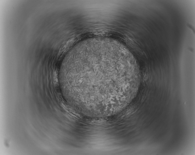 X0000099931106200806131356