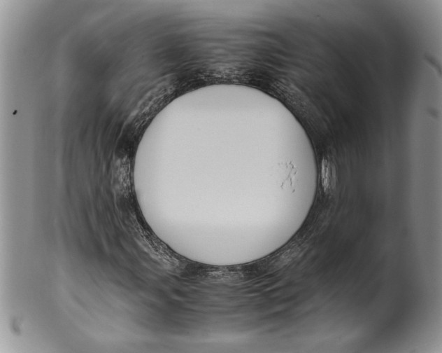 X0000099931107200806131356