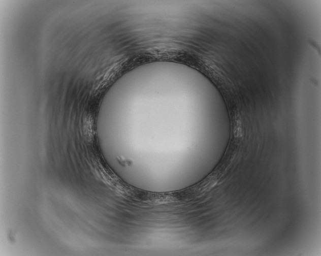 X0000099931108200806131356