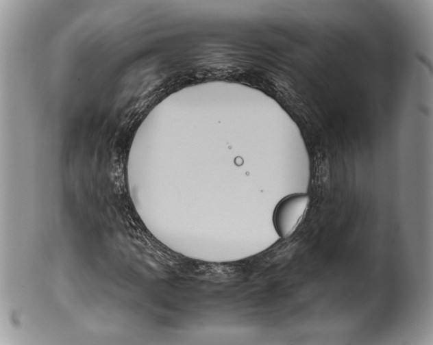 X0000099931109200806131356