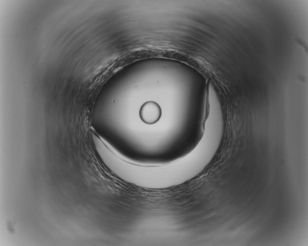 X0000099931110200806131356