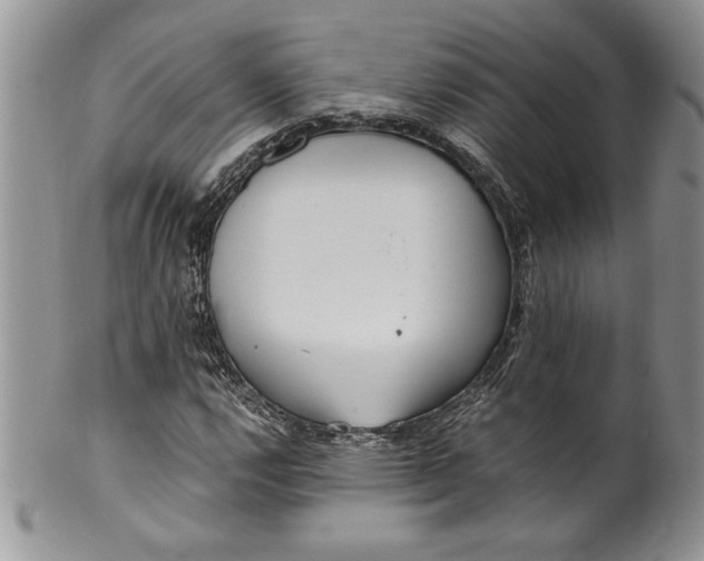 X0000099931112200806131356