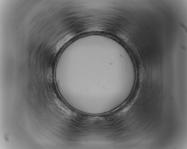 X0000099931113200806131356