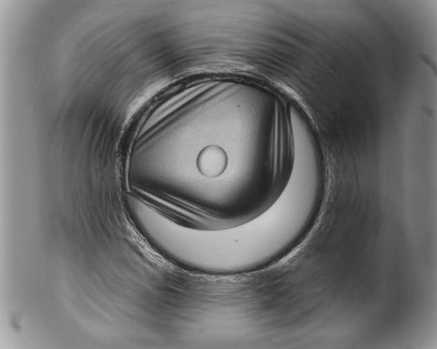 X0000099931114200806131356