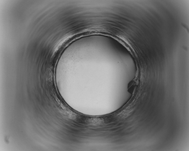 X0000099931115200806131356