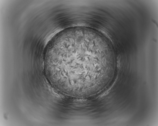 X0000099931117200806131356