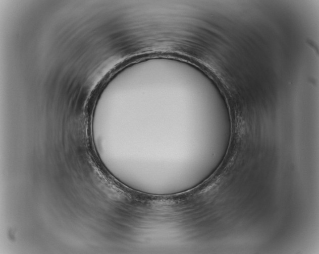 X0000099931118200806131356