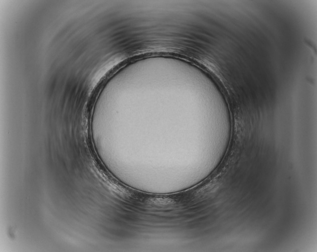 X0000099931119200806131356