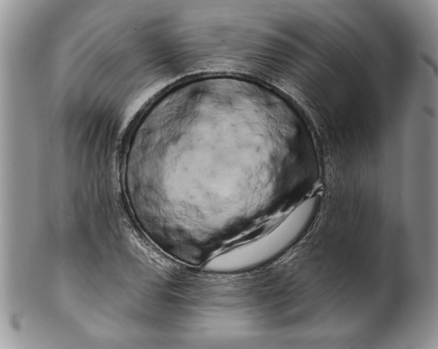 X0000099931120200806131356