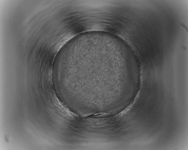 X0000099931121200806131356