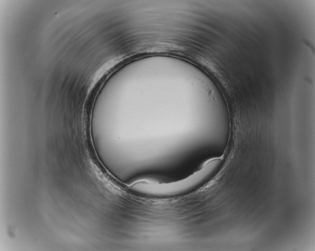 X0000099931122200806131356