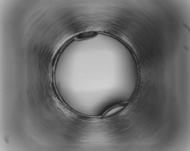 X0000099931124200806131356