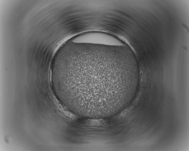 X0000099931125200806131356