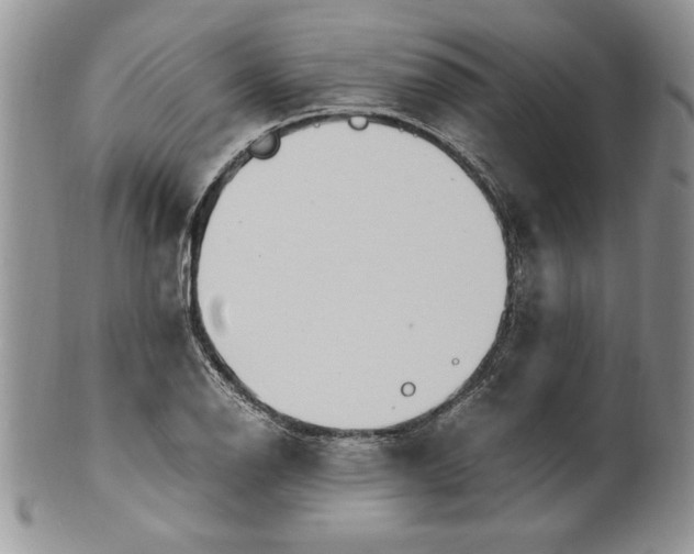 X0000099931126200806131356