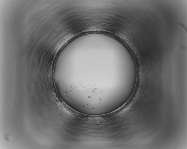 X0000099931129200806131356