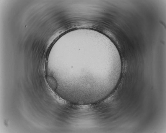 X0000099931130200806131356