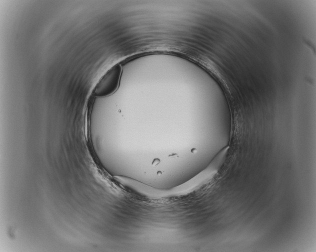 X0000099931132200806131356