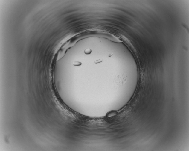 X0000099931133200806131356