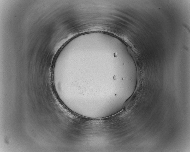 X0000099931134200806131356