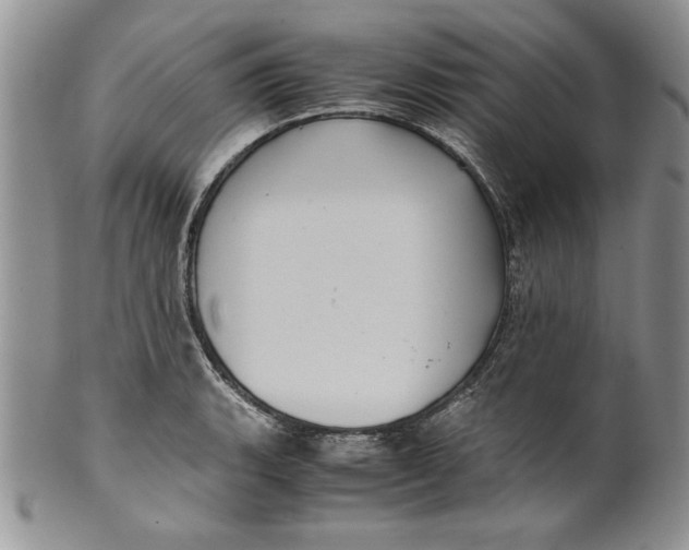 X0000099931135200806131356