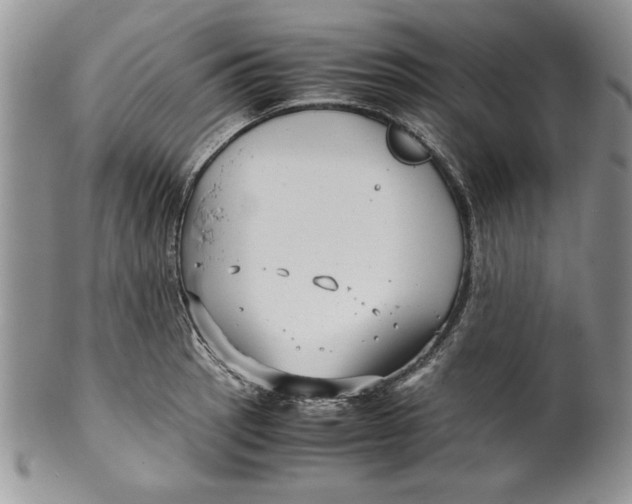 X0000099931137200806131356