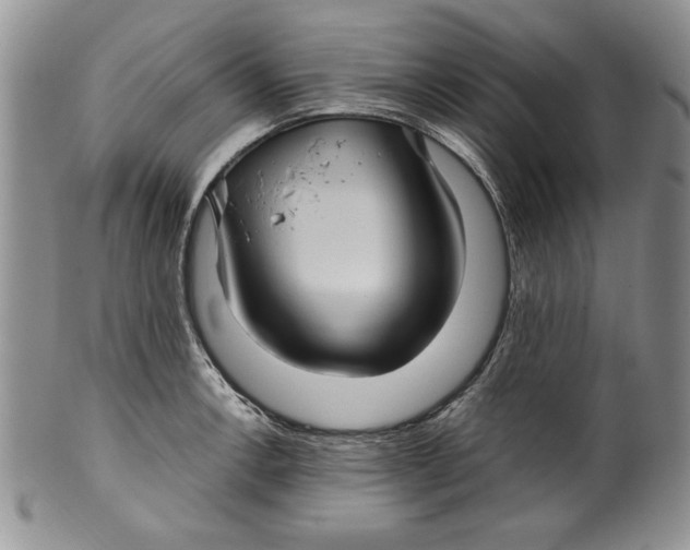 X0000099931138200806131356