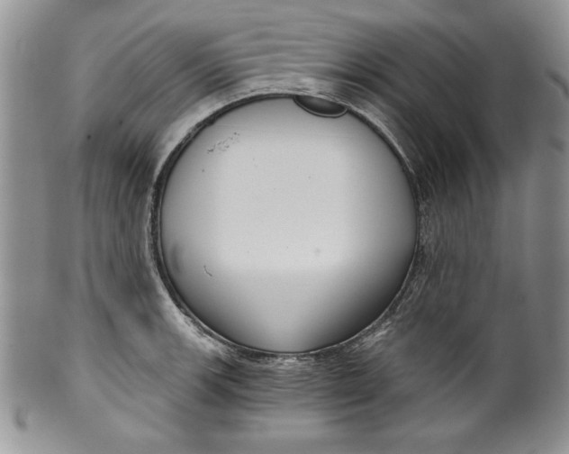 X0000099931139200806131356