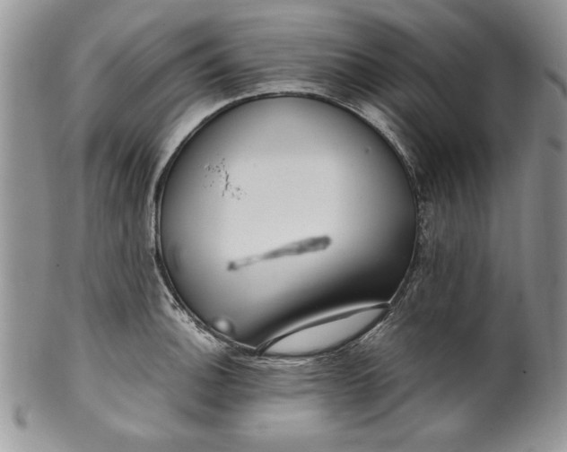 X0000099931140200806131356