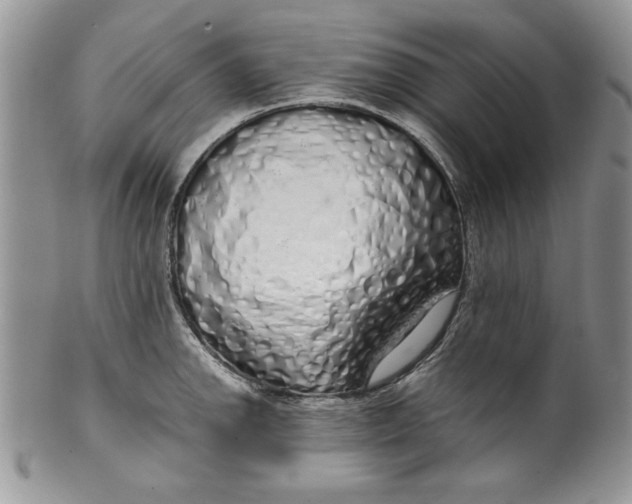 X0000099931142200806131356