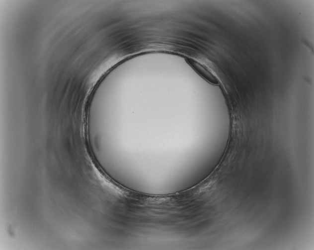 X0000099931143200806131356