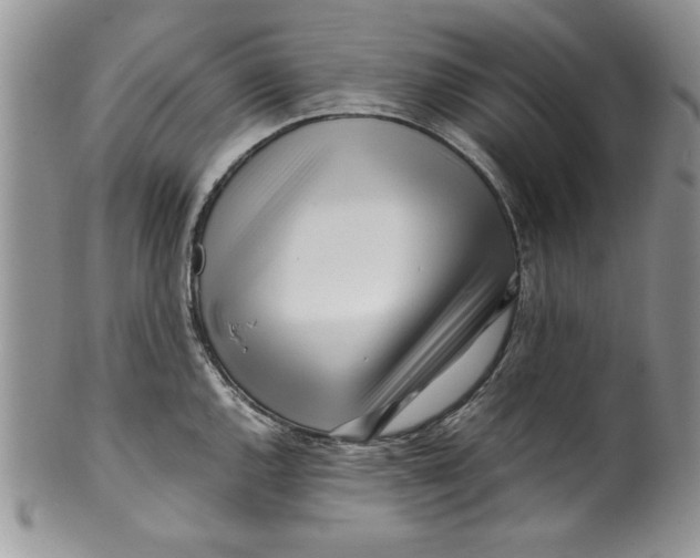 X0000099931144200806131356